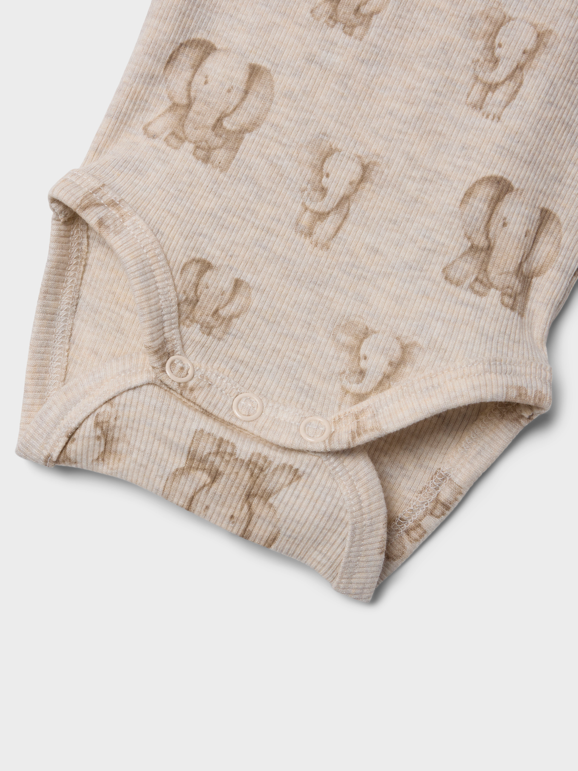 model_shot-front_full